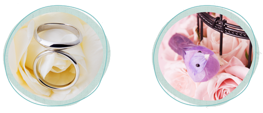 ブライダルコミックイメージ画像